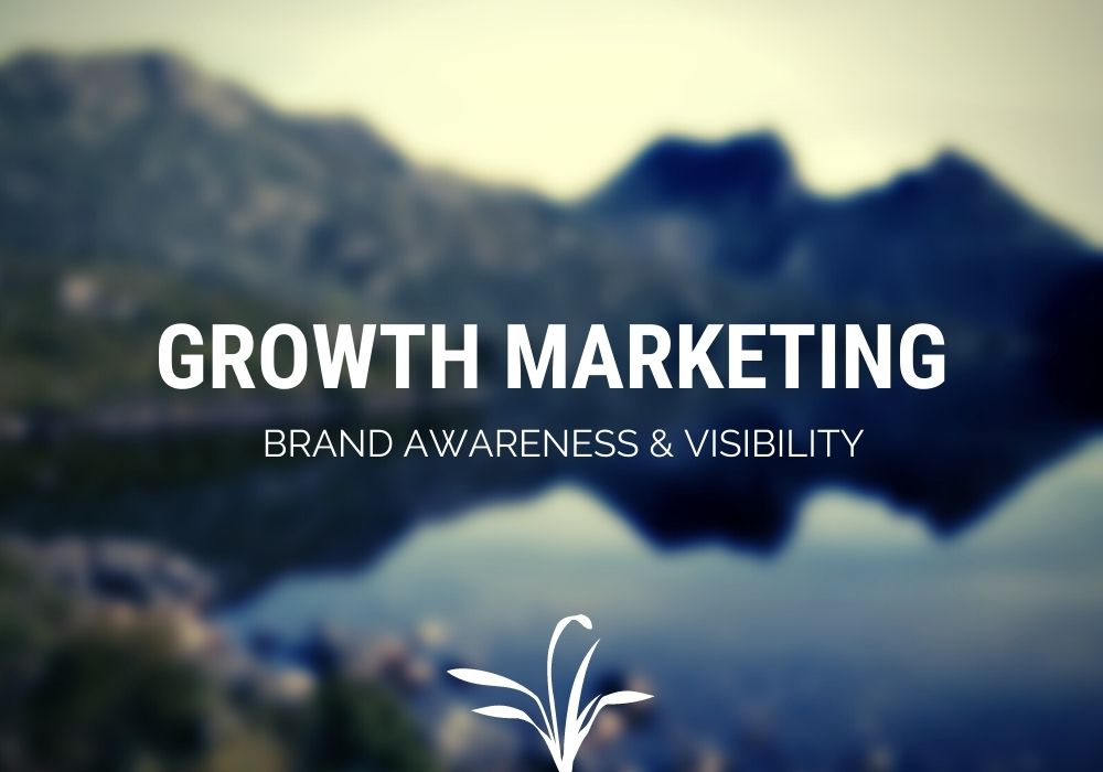 Growth Marketing Brand Awareness and Visibility