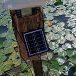solar powered automated pond pump for drip irrigation gardening