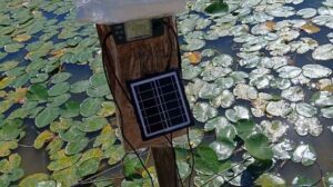 solar powered automated pond pump for drip irrigation gardening