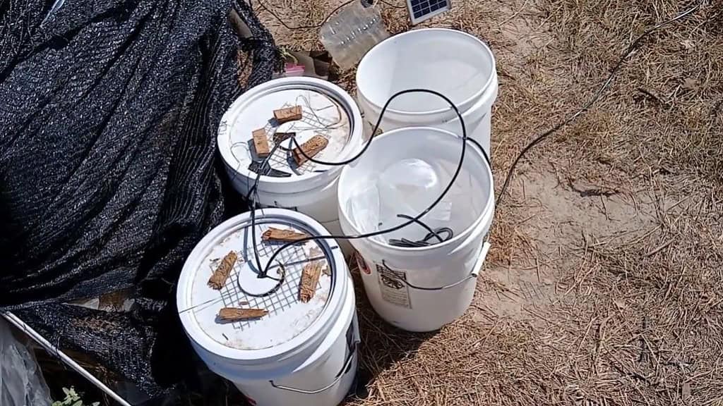 water buckets and tank collection storage between source and programmable water pump